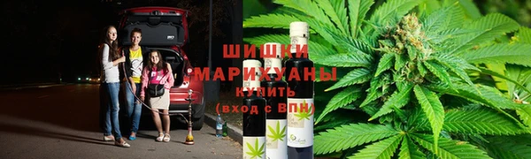 мдпв Бугульма